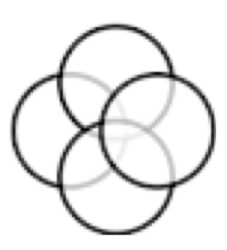Multilinguale Psychotherapeutische Praxis 